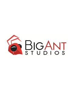 Big Ant Studios