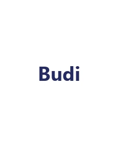 Budi